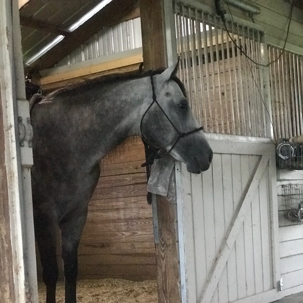 Meet your Posher, Heather